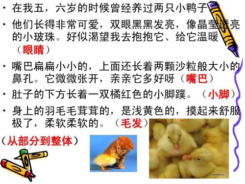 我要为二年级提高200个单词的小动物