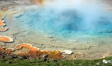 发生在公园里的一件事