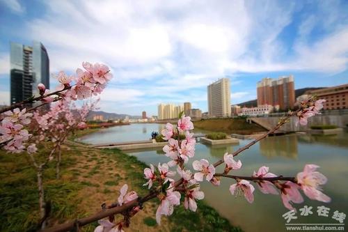在河边旅行