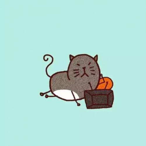 谢谢你来我的青春