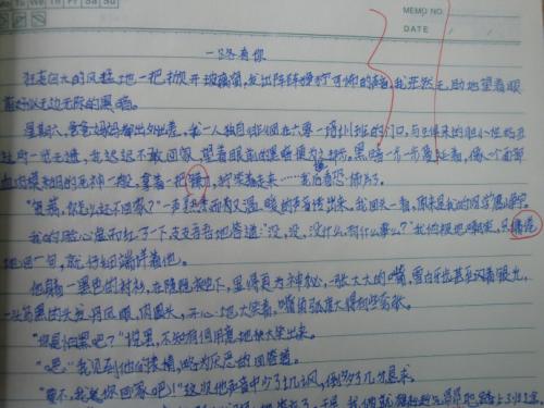 一路陪伴您600字