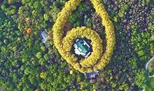 美丽的“误会”