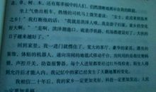 我家乡的清明节作文400字