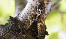 窗外的“蜕变”