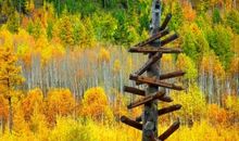 与艺术的一次“邂逅”