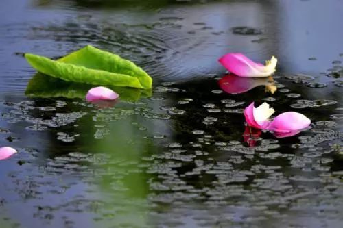 满足零散的生活