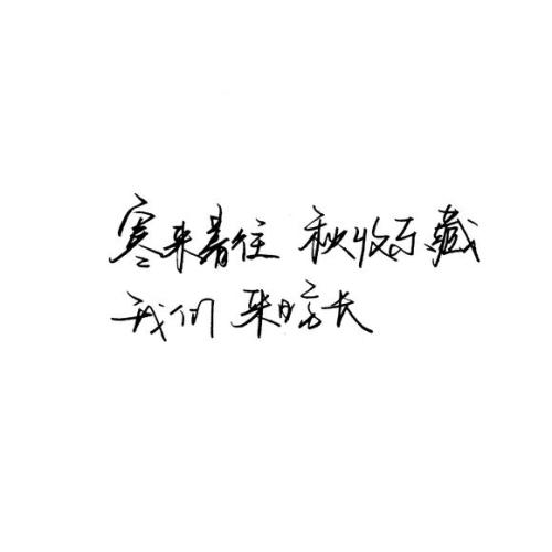 我心中珍惜的一句话