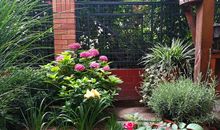 校园的一角小花园