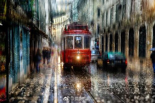 风雨中的选择