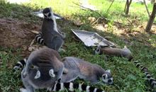 杭州野生动物世界游记