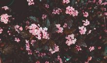 把宽容带给生活