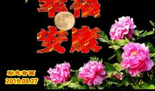 放飞鸟儿的微笑