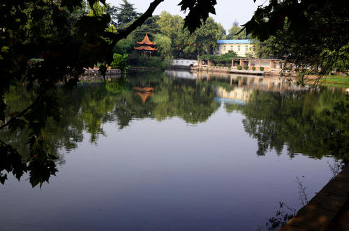 美丽的绿色山丘公园