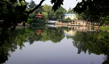 美丽的青山公园