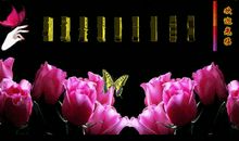 开心过好每一天