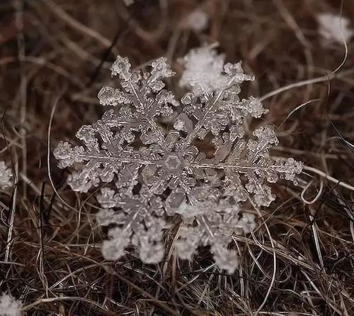 那天下雪了