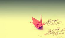 这个人让我成长