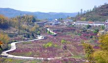 被冤枉的于永康