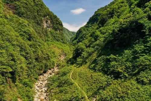 山中的回忆