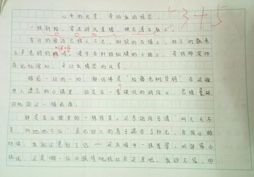 老树影响我的感情