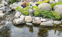 院子后面的池塘