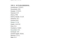 命若琴弦读后感800字