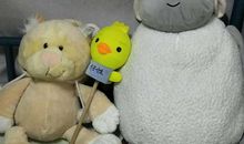 那世界角落里的蠢事