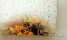 读《花季·雨季》有感