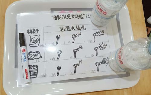 自制气泡水成分300字