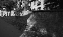 那个迷茫无助的眼神