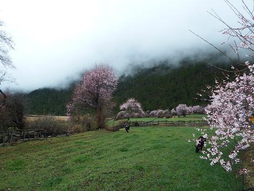 桃花沟旅游须知
