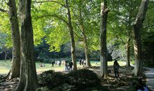 花港观鱼的四季