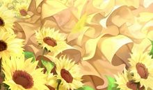 追逐阳光的奶奶