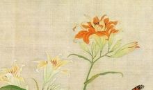 心田中的自信花开