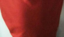 我总也忘不了那句话作文450字