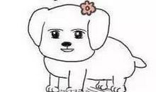 我做过的一件傻事