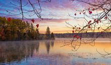 指尖划过书的时光