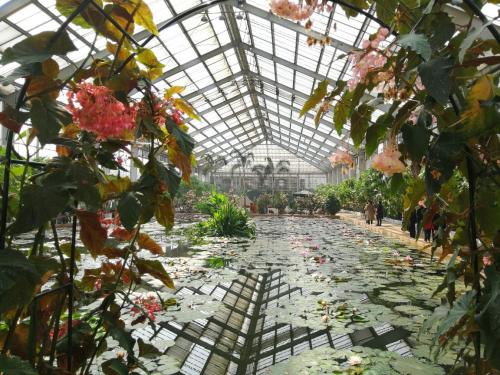 游览江阴佳茂花鸟公园