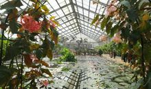 游江阴嘉茂花鸟园