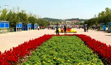 游长沙野生动物园