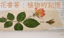 书签唤起了我美好的回忆