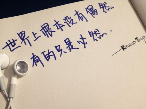 800字梅花