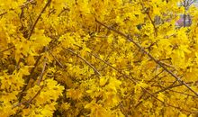 温暖原来无所不在