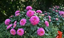 一张照片给我的回忆