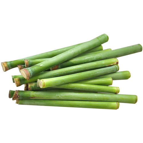 甜蜜的神乐