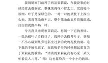 我喜欢的动物作文200字