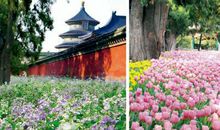 趣意盎然宁波话