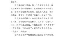 松柏作文托物言志