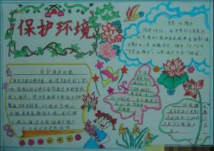 照顾树木和房屋