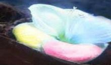 做像依米花一样的人